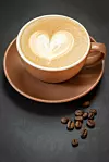 Capuccino