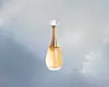 Dior J‘adore (50 ml 112,68 eura; 849 kn)