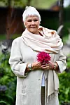 Judi Dench možemo gledati i u posljednjem nastavku filmskog serijala o tajnom agentu Jamesu Bondu.