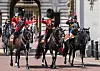 Nije bilo sumnje da će usprkos lanjskoj ozljedi, jahati na vojnoj paradi i službenoj proslavi kraljevog rođendana, ovogodišnjem Trooping the Colouru