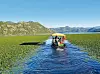 Skadarsko jezero