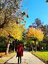 Park u Petrinji