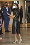 Kožnatu haljinu kraljica Letizia isfurala je na neutralne salonke.