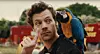 harry styles