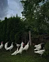 'Selo mi je i fotografski zanimljivije od grada'