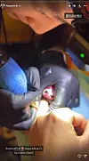 Tatoo umjetnica u akciji
