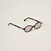 Miu Miu Regard - boja Honey Tortoiseshell