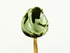 Matcha je odlična zamjena za kavu