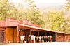 Linden Tree Retreat & Ranc