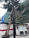 Gibraltar je oduvijek razmeđa puteva