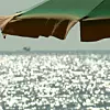 29608161
