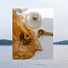 Fotografije: Senja Vild
