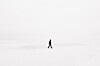 Fotografija: Emile Seguin/Unsplash