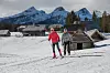 Ljubitelji zimskih sportova mogu skijati i snowboardati na skijalištu Straža odmah pokraj Bledskog jezera, a glavno skijalište je pak skijaško središte Vogel u susjednom Bohinju.