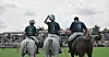 Serija Polo