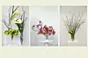 Pollak Flowers