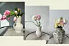 Tulip Studio