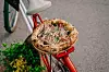 Pizza Mortadella