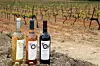 Polovica zarade od vina Miraval ide u džep ruskog tajkuna