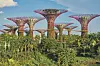 Gardens by the Bay sastoje se od tri zasebna vrta, Istočnog, Središnjeg i Južnog koji je 2012. otvorio svoja vrata za javnost