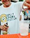 Split park festival