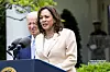 Potpredsjednica Kamala Harris dala je sve od sebe u kampanji od 107 dana