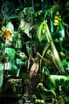 Bergdorf Goodman izlog ovih blagdana izgleda senzacionalno