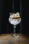 FOTOGRAFIJE: PATRIK JANKOVIć Espresso Tonik