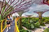 The Supertree Grove u parku Gardens by the Bay