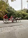 I najobičnija šetnja gradom nekada se čini kao isječak filma