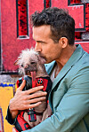 Ryan Reynolds i Peggy