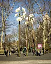 'Dvije orhideje u cvatu' na ulazu u Central Park