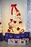 Violeta je uzvanicima pripremila goodie bagove