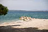 Turiste mame i lijepe crikveničke plaže