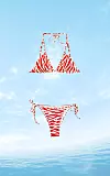 Sa zebra uzorkom, 22,99 €, Mango