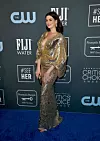 SANTA MONICA, CALIFORNIA - JANUARY 12: Anne Hathaway attends the 25th Annual Critics' Choice Awards at Barker Hangar on January 12, 2020 in Santa Monica, California. (Photo by Frazer Harrison/Getty Images)