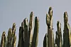 Fotografija: Unsplash