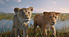 ”MUFASA: KRALJ LAVOVA”, priča o mladom Mufasi, dolazi u kina