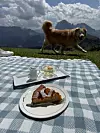 Desert na livadi ispred bajte Sofie Hütte i Rea