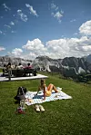 Livada na kojoj možete uživati na pikniku na dekici