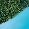 Andreas Gucklhorn/ Unsplash