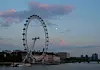 London Eye na obali Temze.