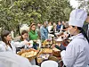 Nedavno su održali međunarodni tečaj degustacije ekstradjevičanskog maslinovog ulja