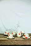 Jana Kuvalja magistrirala je na Fakultetu likovnih umjetnosti u Beogradu.
