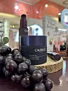 Krema iz Caudalie Premier Cru linije.