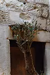 Detalji u prostoru