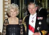 Camilla, Duchess of Cornwall with Prince Charles ROYAL BANQUET CELEBRATING NORWEGIAN ROYAL FAMILY OFFICIAL VISIT, BUCKINGHAM PALACE, LONDON, BRITAIN - 25 OCT 2005, Image: 221276704, License: Rights-managed, Restrictions: , Model Release: no, Credit line: - / Shutterstock Editorial / Profimedia