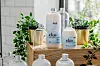 Melli Aromatica