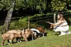 Znatiželjne kozice obavezno će vas doći pozdraviti čim vas ugledaju