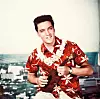 American rock n' roll singer Elvis Presley plays a ukelele, wearing a Hawaiian shirt and lei, in a still from the film 'Blue Hawaii,' directed by Norman Taurog, 1961. (Photo by Paramount Pictures/Courtesy of Getty Images)